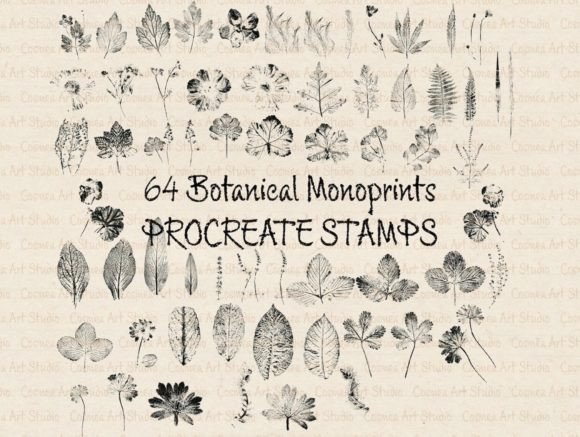 Botanical Monoprints Procreate Stamps
