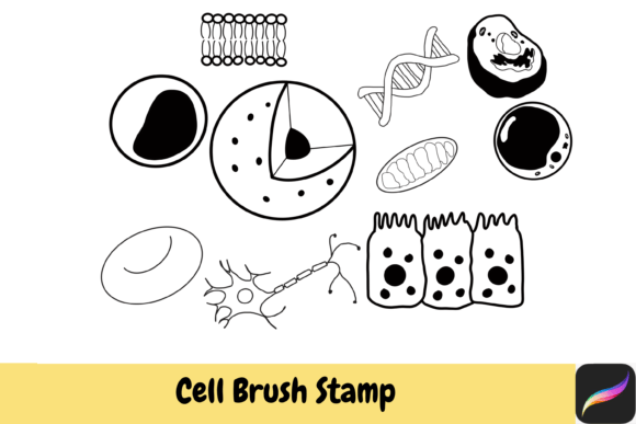 Enhancing Digital Science Art with Cell Biology Brush Stamps for Procreate on iPad