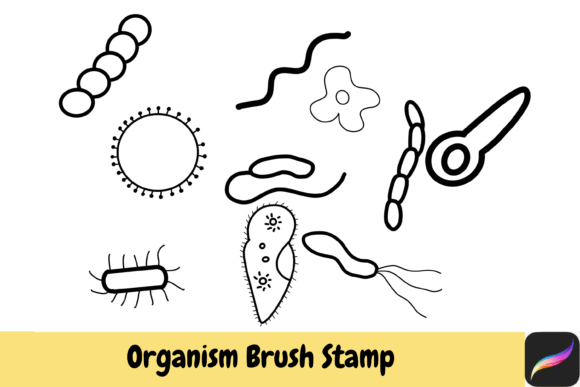 Unlocking Creative Potential with Organism Biology Brush Stamps Procreate